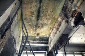 Best Residential Mold Inspection & Testing  in Kennewick, WA